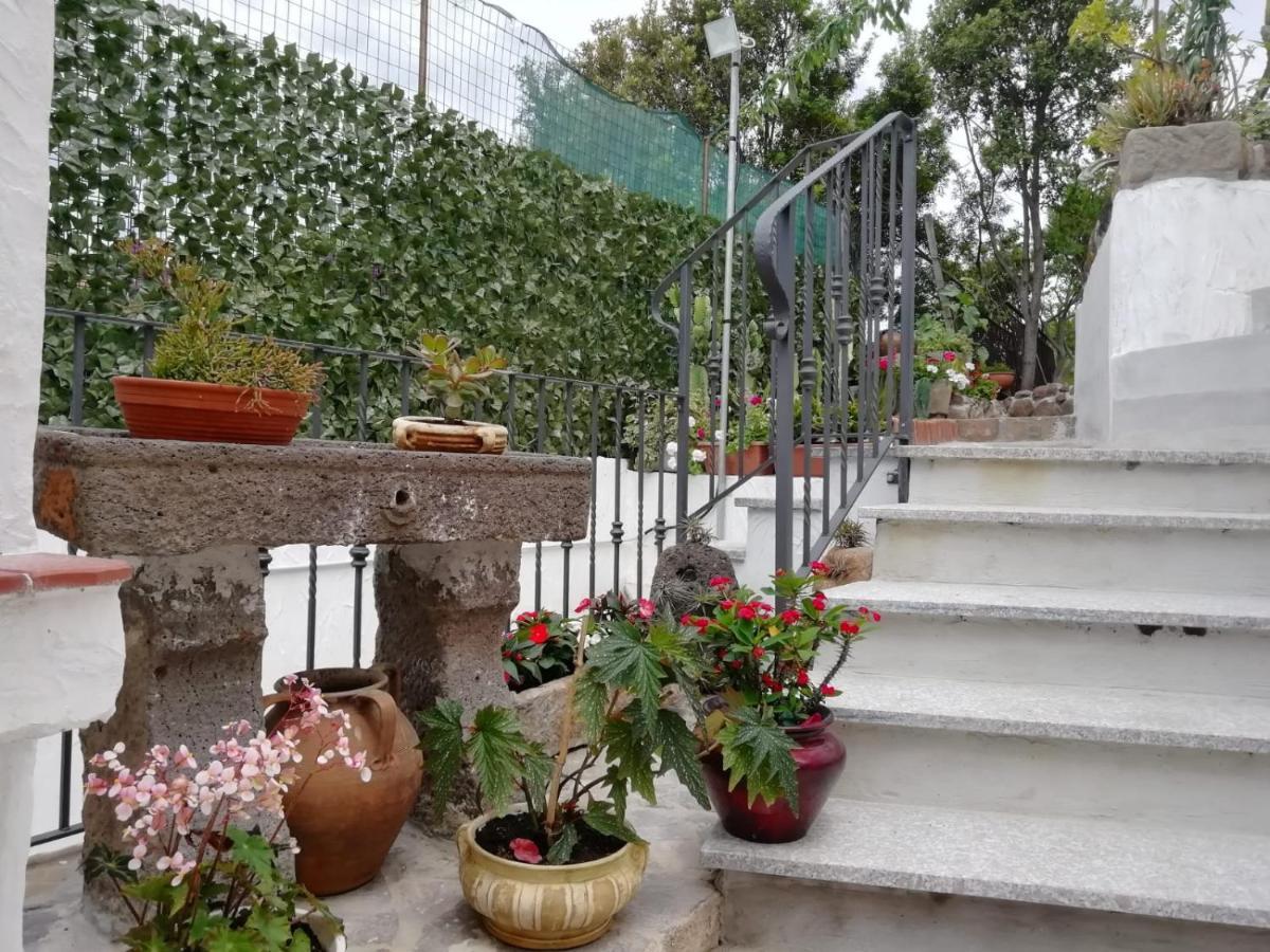 Appartamento Bouganville Magomadas Εξωτερικό φωτογραφία